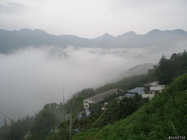 山中單車道--阿里山瑞里風景區 ,與大家分享.