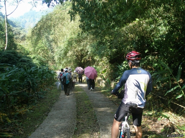 山中單車道--阿里山瑞里風景區 ,與大家分享.