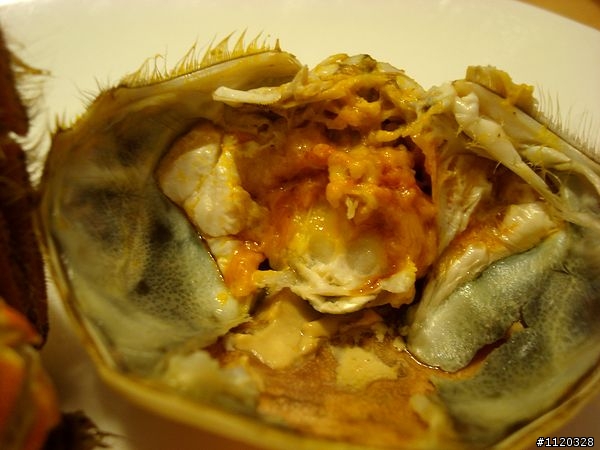 大閘蟹"開香聞"