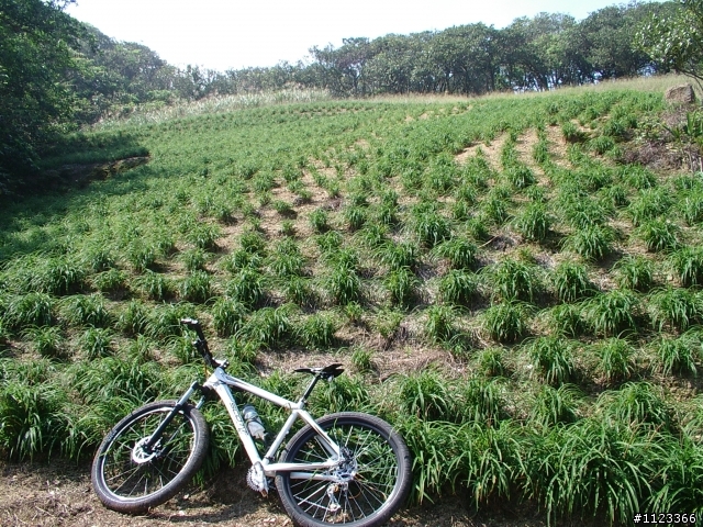 探索瑞澳山野順便OFF ROAD一番~圖非常之多請慢慢觀賞