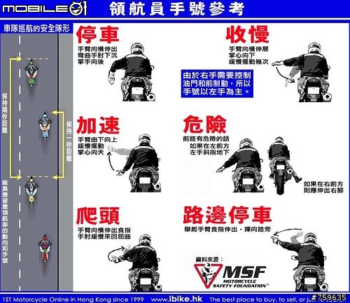 11/22-23...陌生人花蓮海岸盃~劇終!(首頁有圖可看)