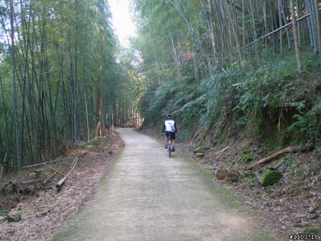 山中單車道--阿里山瑞里風景區 ,與大家分享.
