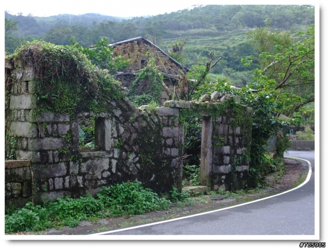 桃源谷~草嶺古道..O型越嶺縱走