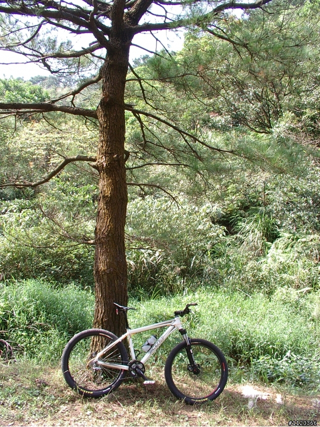 探索瑞澳山野順便OFF ROAD一番~圖非常之多請慢慢觀賞
