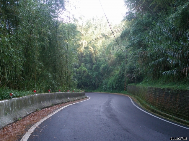 山中單車道--阿里山瑞里風景區 ,與大家分享.