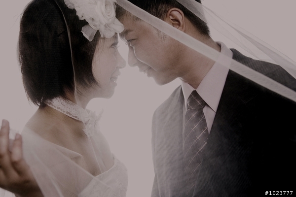 鐵馬求婚歷險記