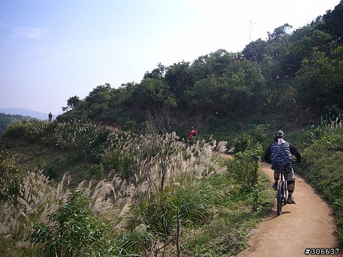 11/2(日)虎頭山OFFR-ROAD路線(照片p9起)