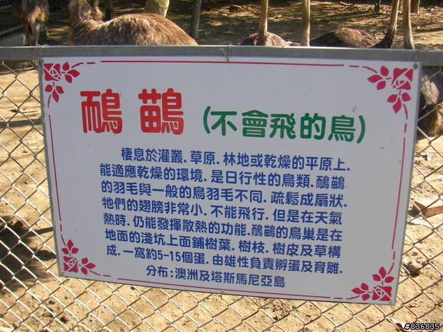 小淑女車環島~許阿幕【 上集 】