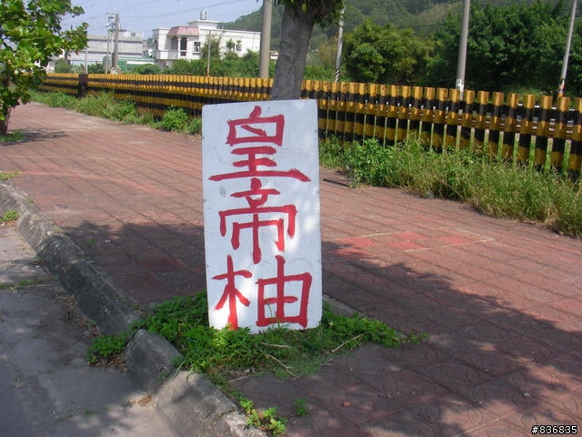 小淑女車環島~許阿幕【 上集 】