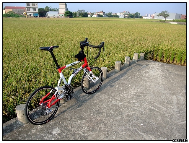 Reach SL (Super Light) 精實車初體驗