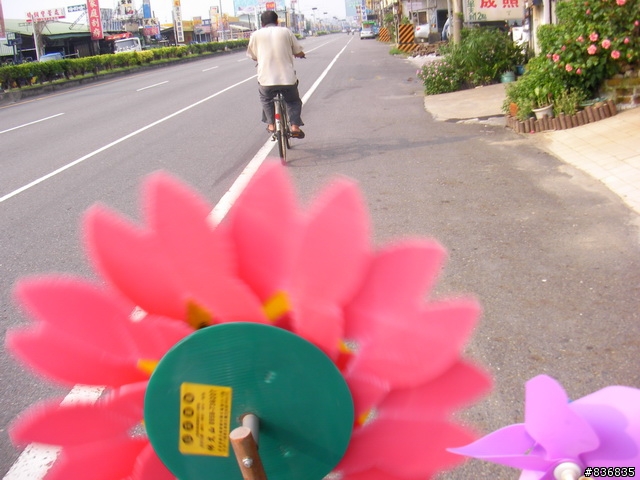 小淑女車環島~許阿幕【 上集 】