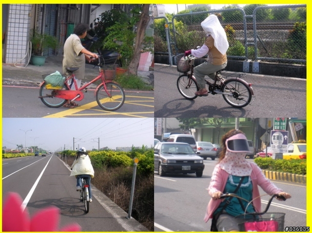 小淑女車環島~許阿幕【 上集 】