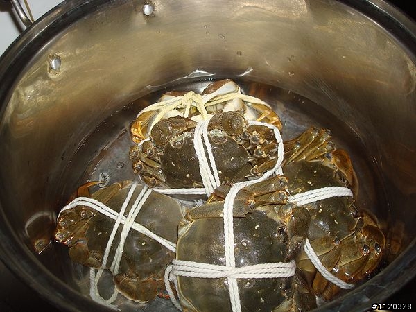 大閘蟹"開香聞"