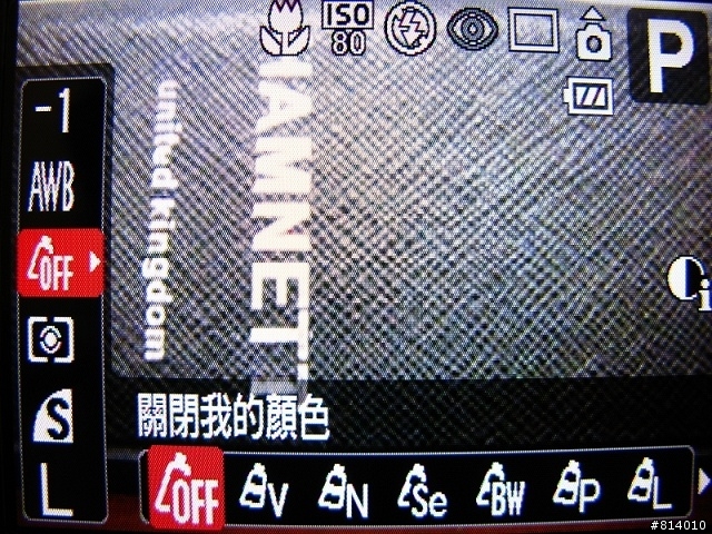 <愛廣角.愛時尚>Canon IXUS 870 IS 測試
