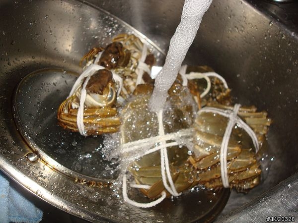 大閘蟹"開香聞"