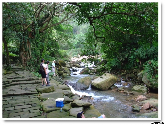 桃源谷~草嶺古道..O型越嶺縱走