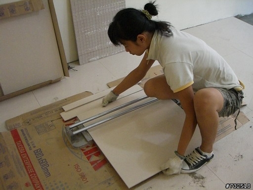 二手屋大改造..砍掉重練 !(完結篇 2008/11/14 新家具,燈具 ,整體感覺 )