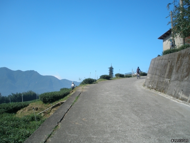 山中單車道--阿里山瑞里風景區 ,與大家分享.
