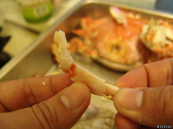 秋蟹肥美-變身老饕分享全紀錄