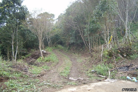 一路爬坡爬到底的雅渡(夫婦山)