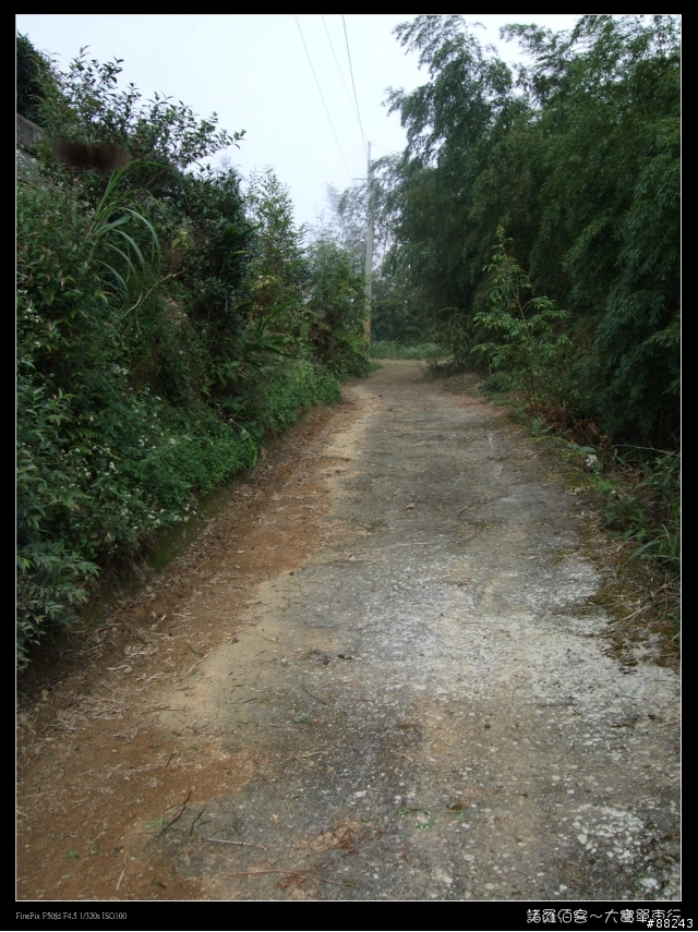 [[小百岳]雲林大尖山～標高1300公尺