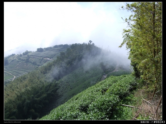 [[小百岳]雲林大尖山～標高1300公尺