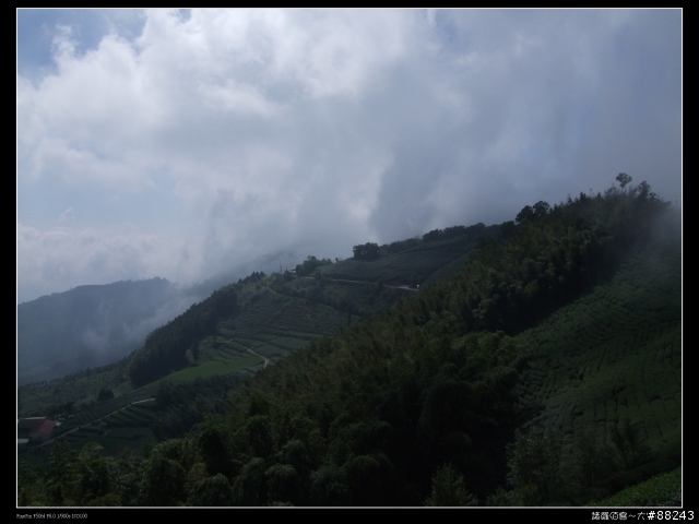 [[小百岳]雲林大尖山～標高1300公尺