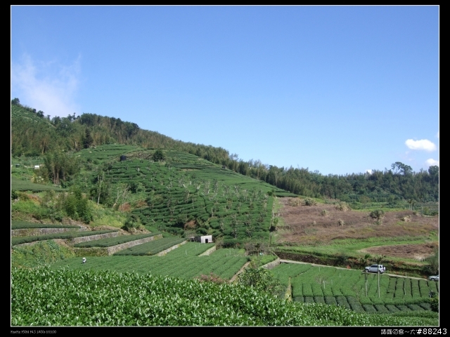 [[小百岳]雲林大尖山～標高1300公尺