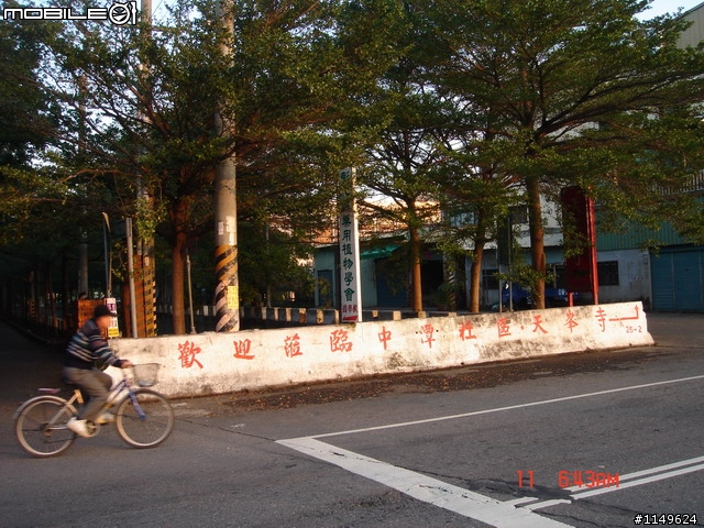 【照片欣賞&路程解說】2008 新社花海季 一日遊