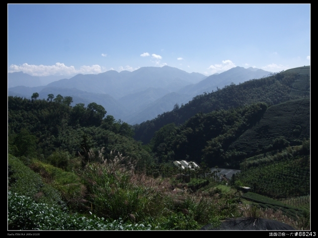 [[小百岳]雲林大尖山～標高1300公尺