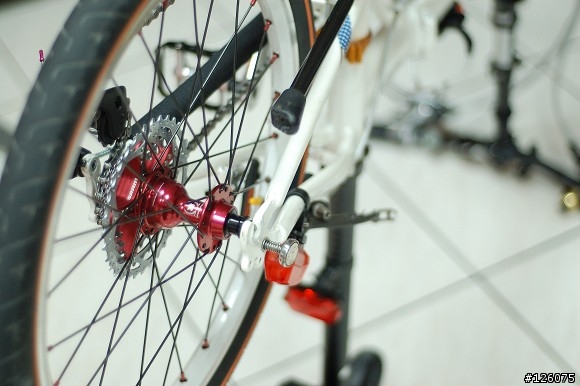 DAHON SP18 心中惡魔三起之飛輪改裝篇