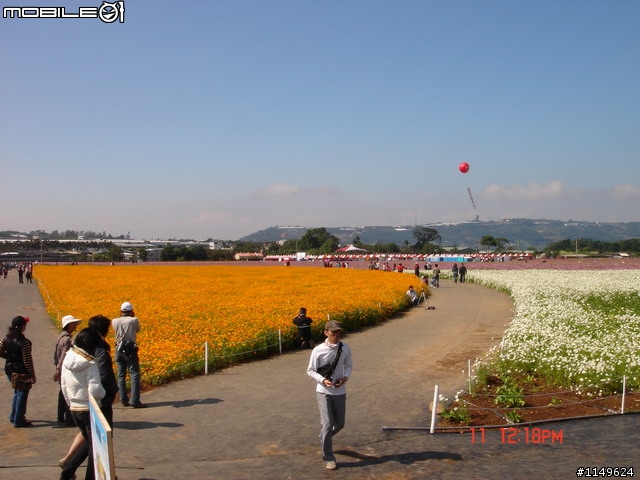 【照片欣賞&路程解說】2008 新社花海季 一日遊