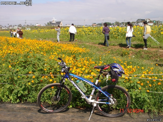 【照片欣賞&路程解說】2008 新社花海季 一日遊