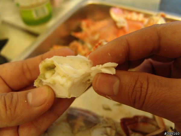 秋蟹肥美-變身老饕分享全紀錄