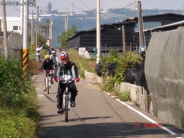 【照片欣賞&路程解說】2008 新社花海季 一日遊