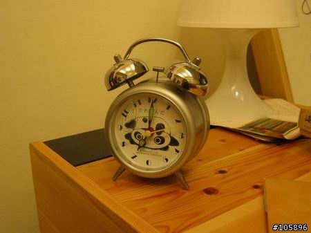 我與12歲小綠的5天四夜環島記錄~成功