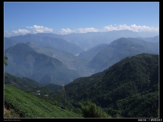 [[小百岳]雲林大尖山～標高1300公尺