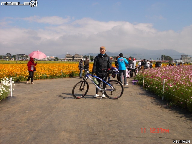 【照片欣賞&路程解說】2008 新社花海季 一日遊