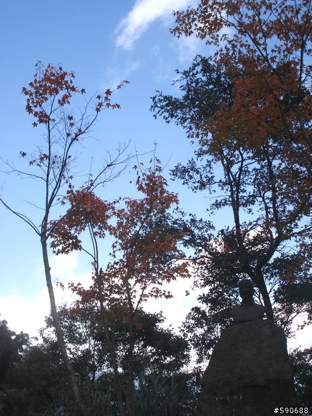 {分享}11/19-21三日雙南(南橫南迴)任我騎----(圖多)