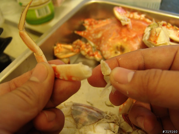 秋蟹肥美-變身老饕分享全紀錄