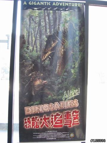 我與12歲小綠的5天四夜環島記錄~成功