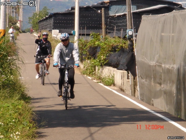 【照片欣賞&路程解說】2008 新社花海季 一日遊
