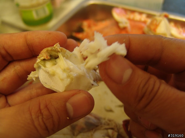 秋蟹肥美-變身老饕分享全紀錄