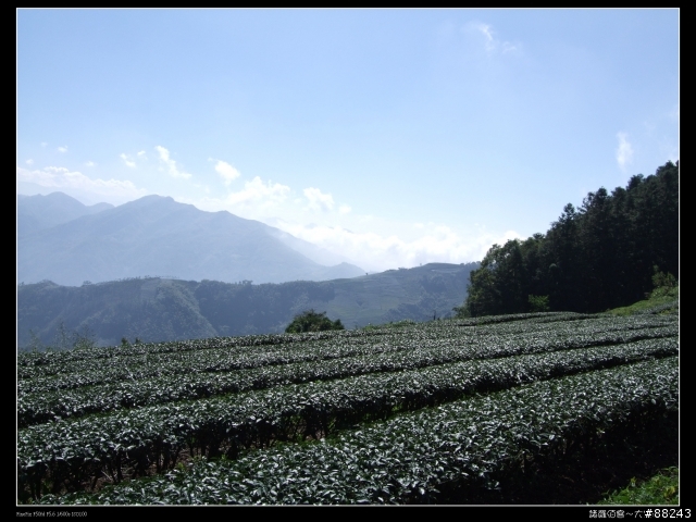 [[小百岳]雲林大尖山～標高1300公尺