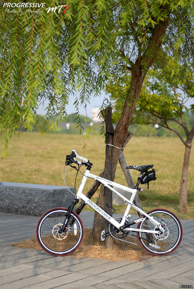 跨界休旅 - 18速Progressive 20MTT