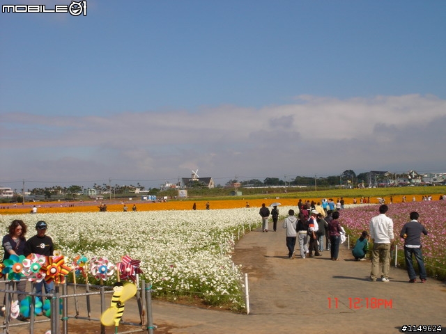 【照片欣賞&路程解說】2008 新社花海季 一日遊