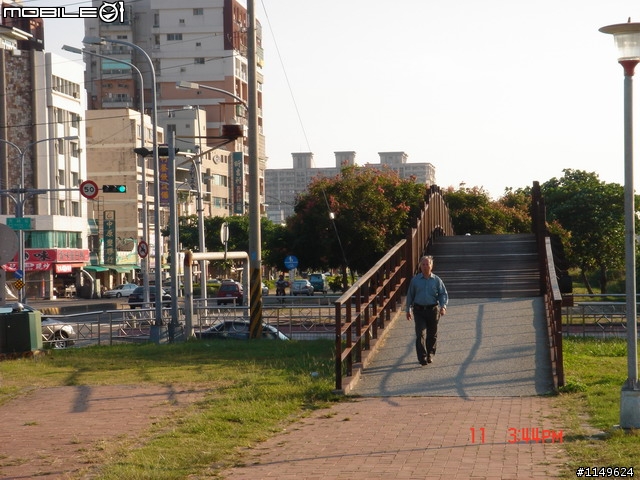 【照片欣賞&路程解說】2008 新社花海季 一日遊