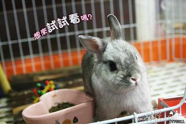 新朋友?照顧一下!
