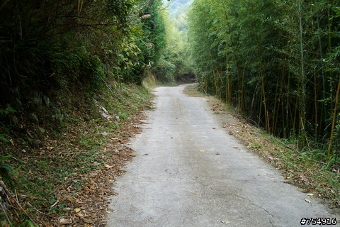 一路爬坡爬到底的雅渡(夫婦山)