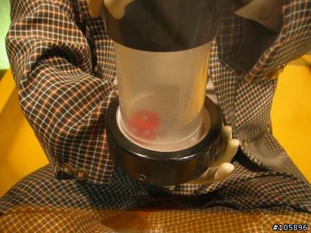 我與12歲小綠的5天四夜環島記錄~成功